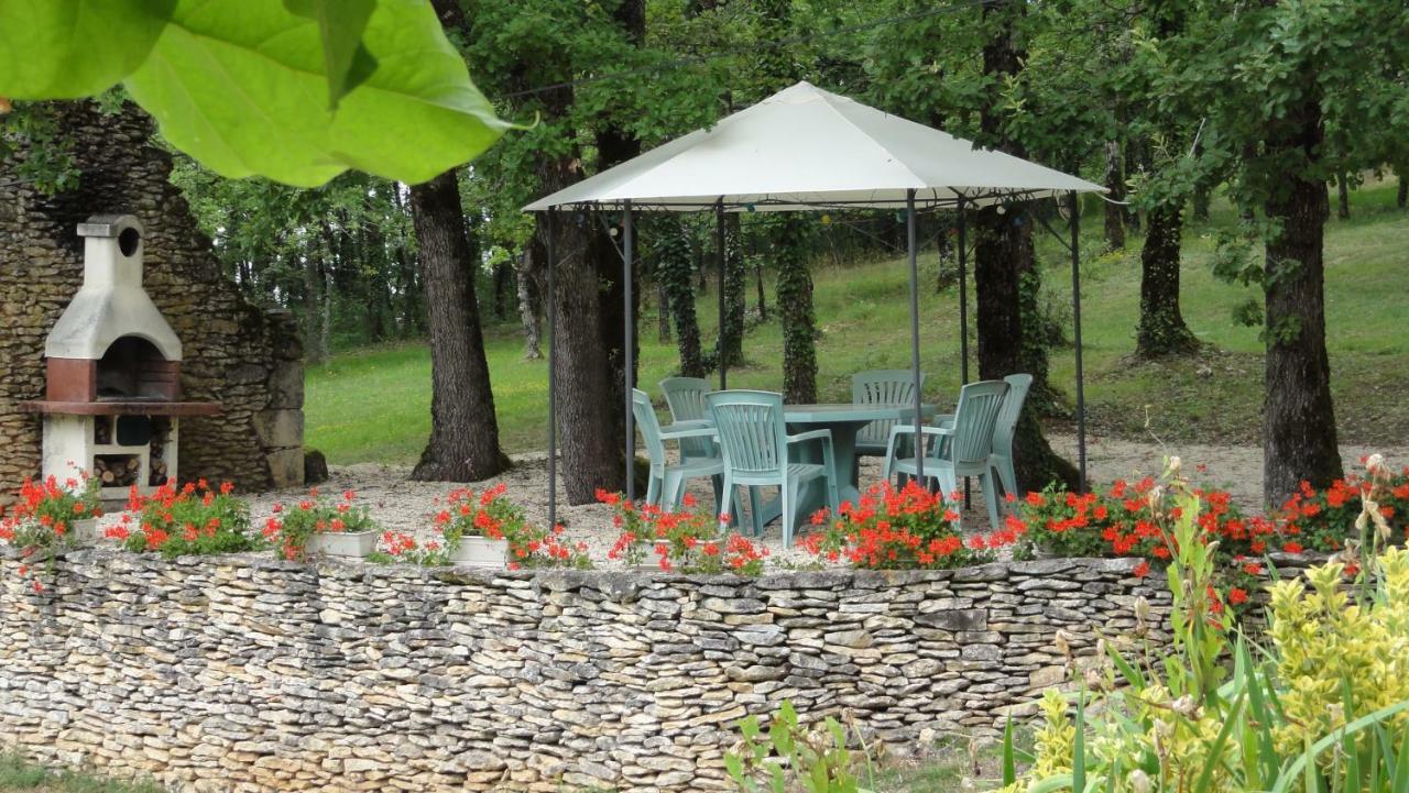 Bed and Breakfast Les Feuillantines Perigord Noir à Saint-Cyprien  Extérieur photo