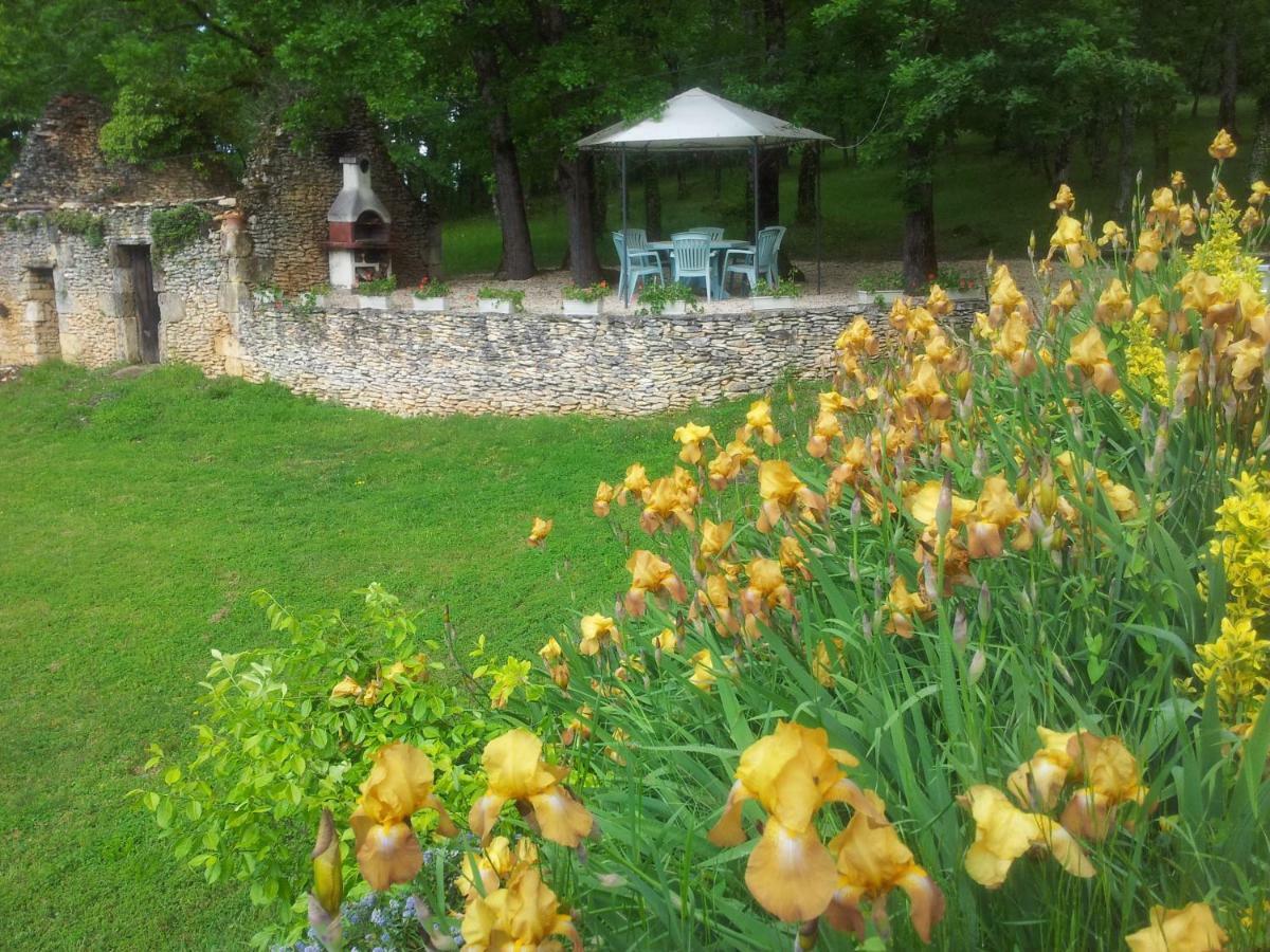 Bed and Breakfast Les Feuillantines Perigord Noir à Saint-Cyprien  Extérieur photo