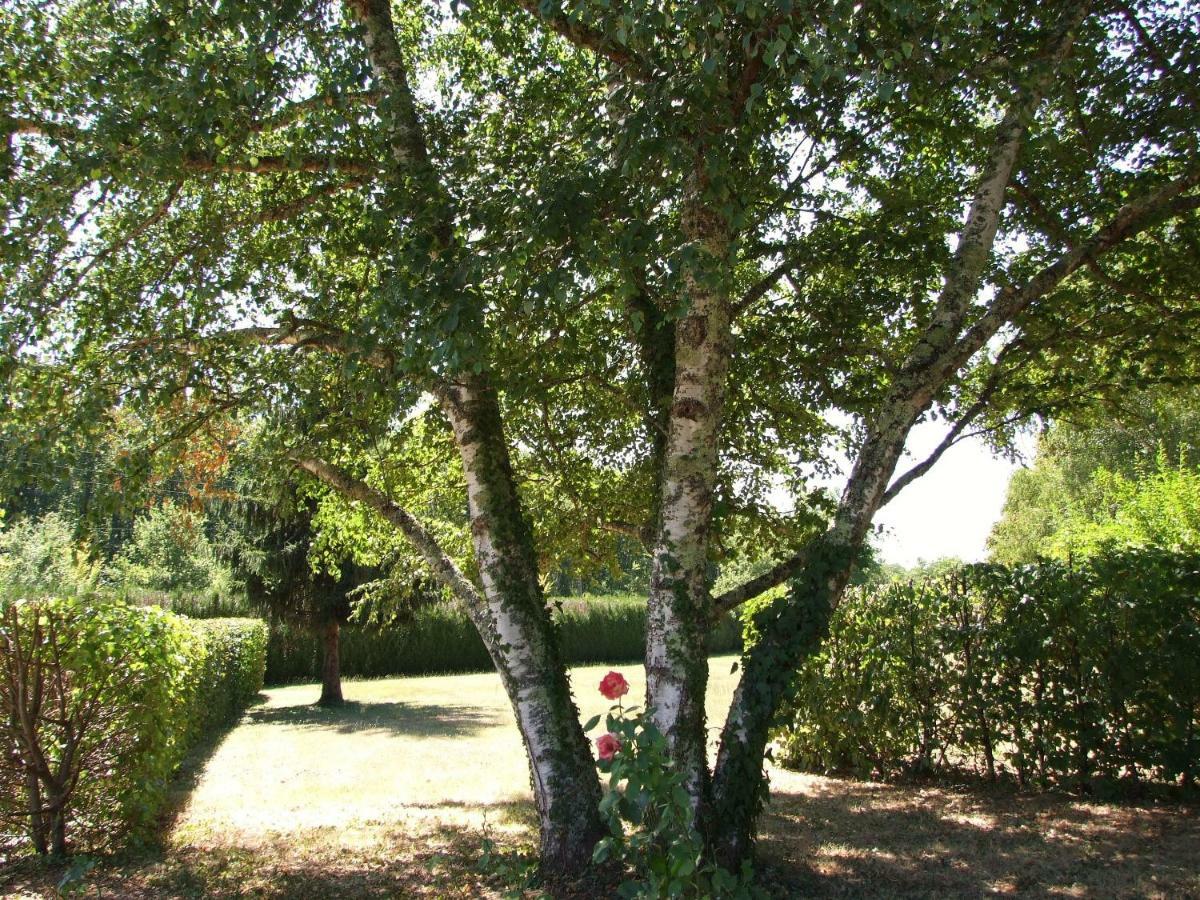 Bed and Breakfast Les Feuillantines Perigord Noir à Saint-Cyprien  Extérieur photo